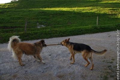 Un copain Taïco (Jura)
